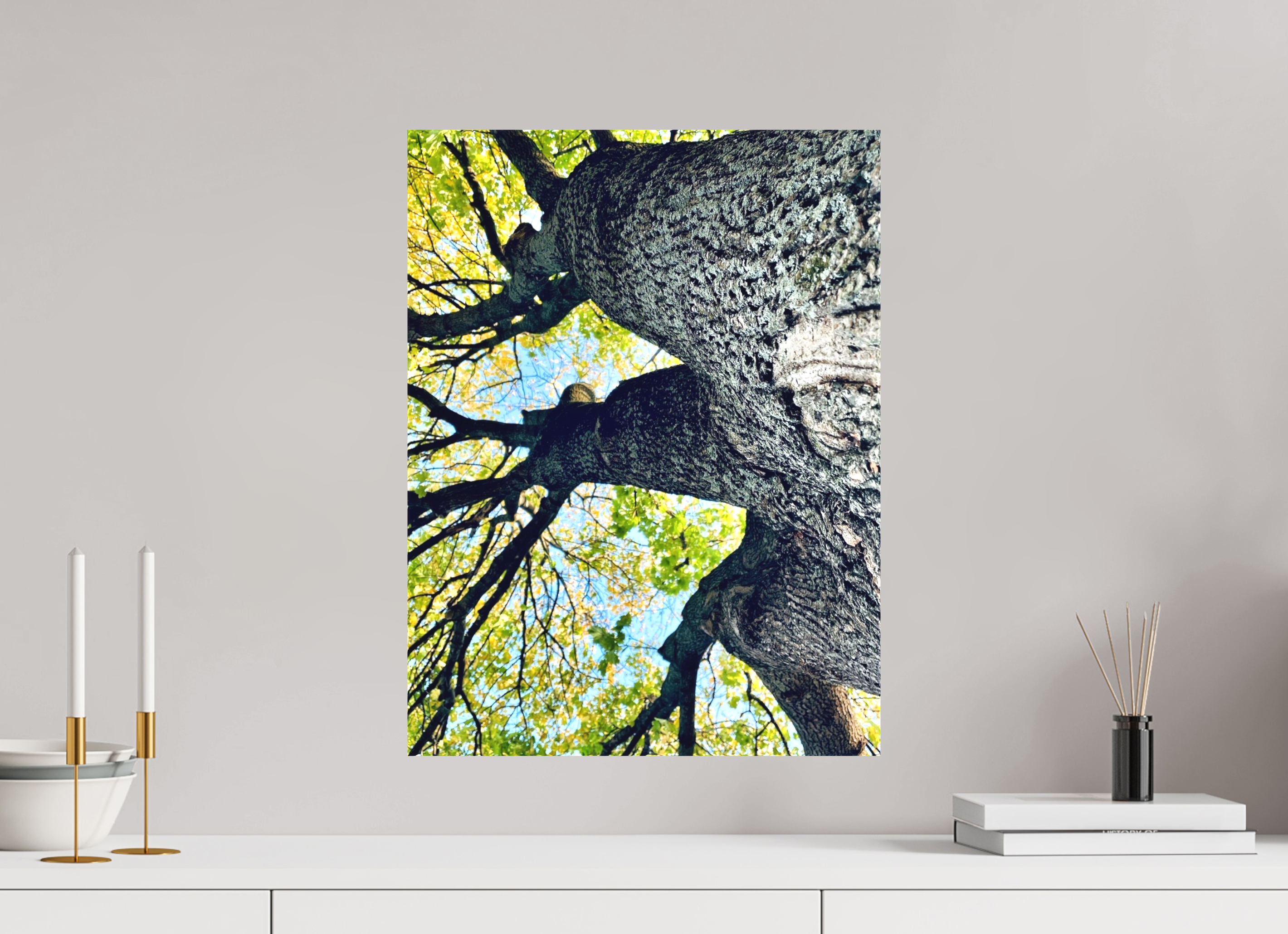 15 x 20″, Stretch it out Growth