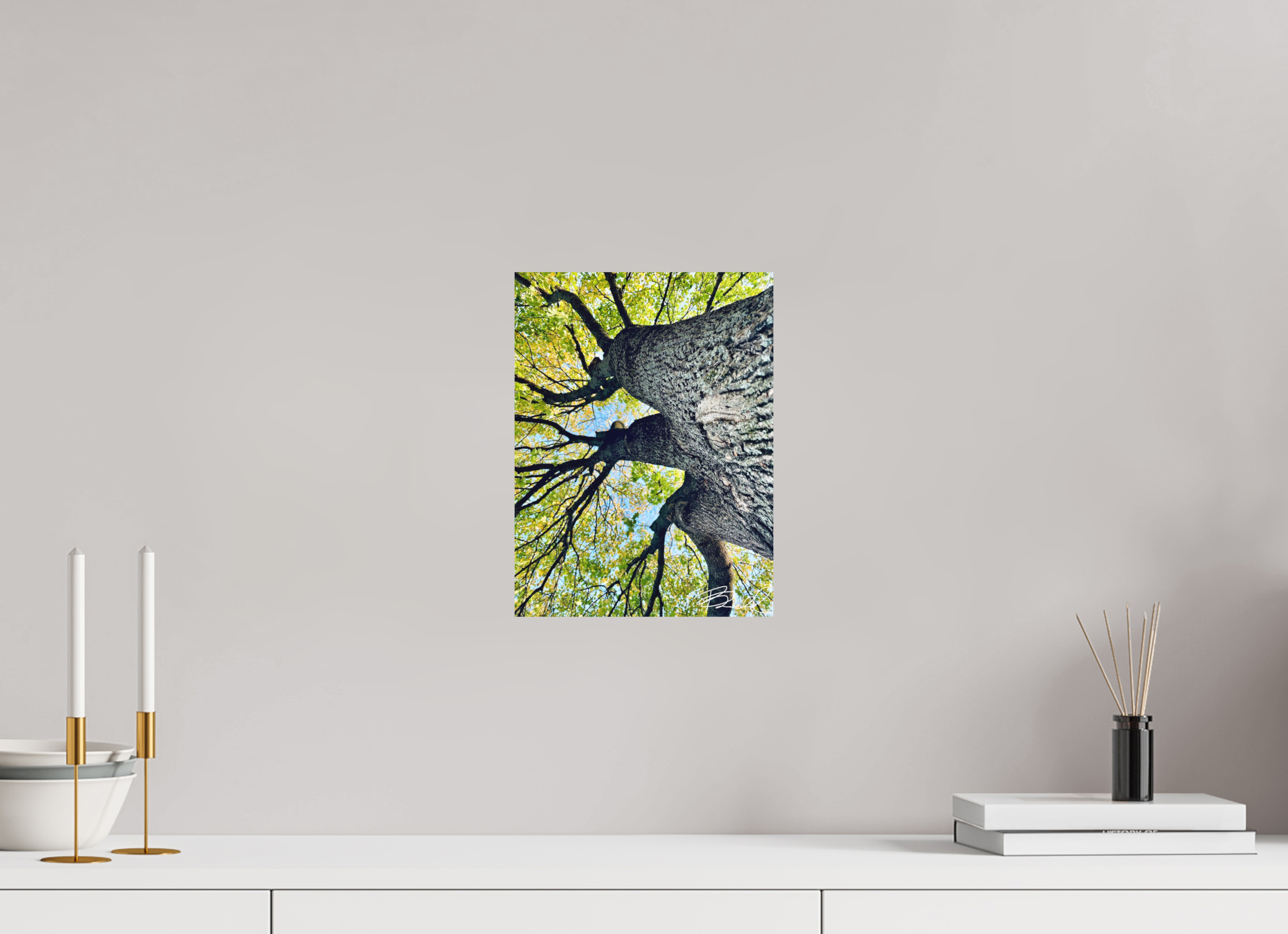 9 x 12″, Basic Growth
