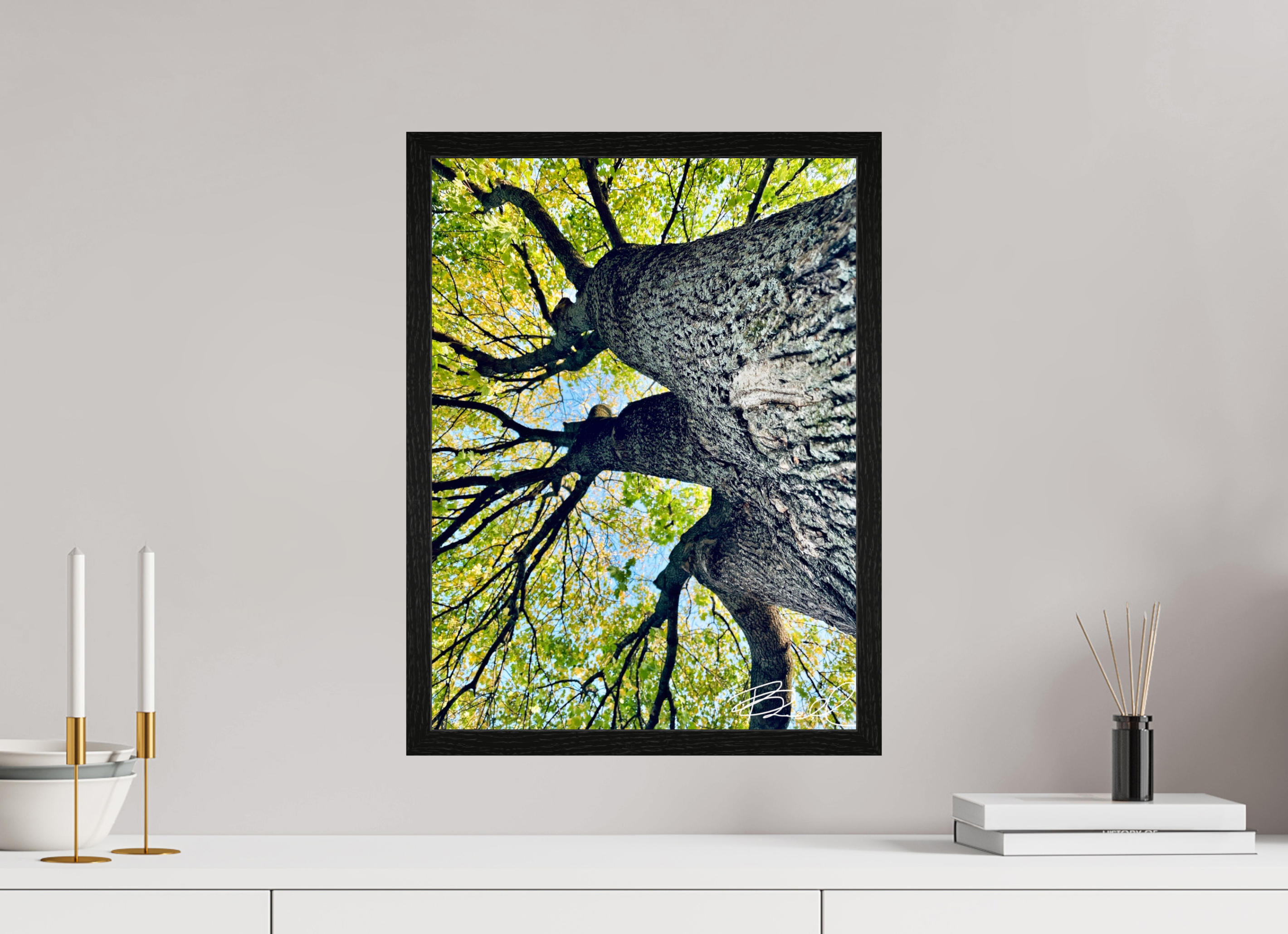 15 x 20″, Bring the Gallery to You Growth