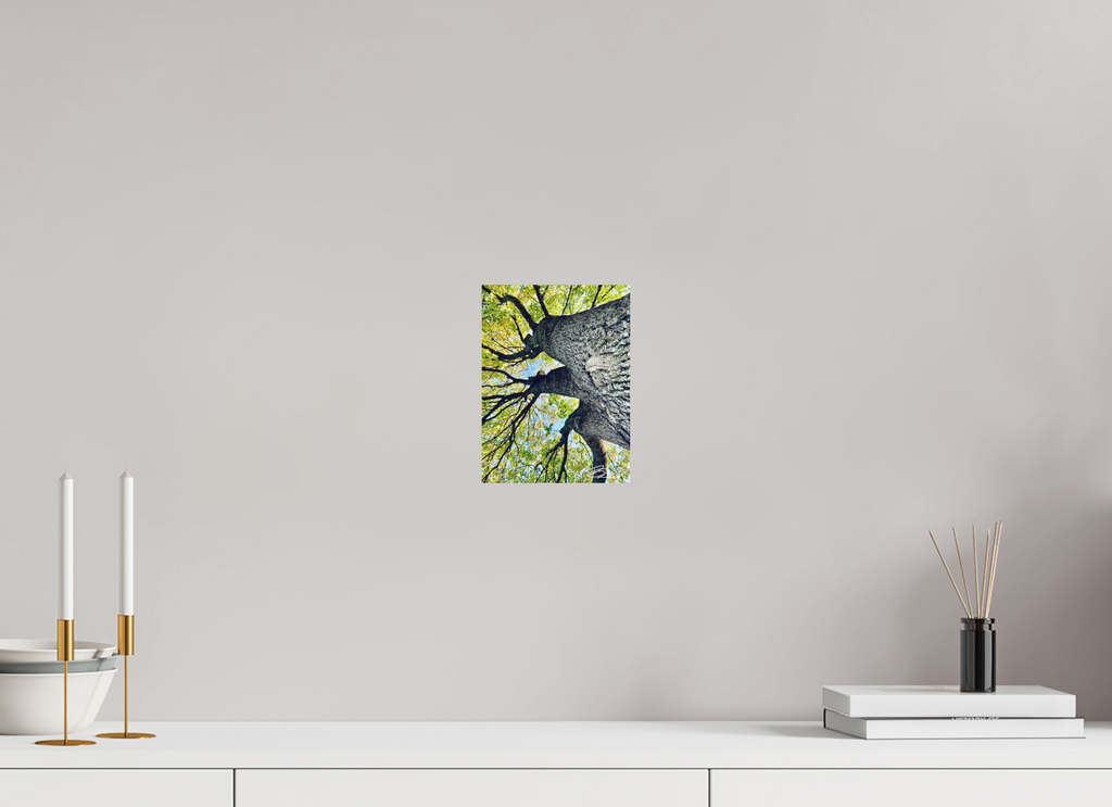 6 x 8″, Basic Growth