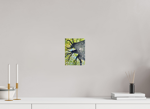 6 x 8″, Basic Growth