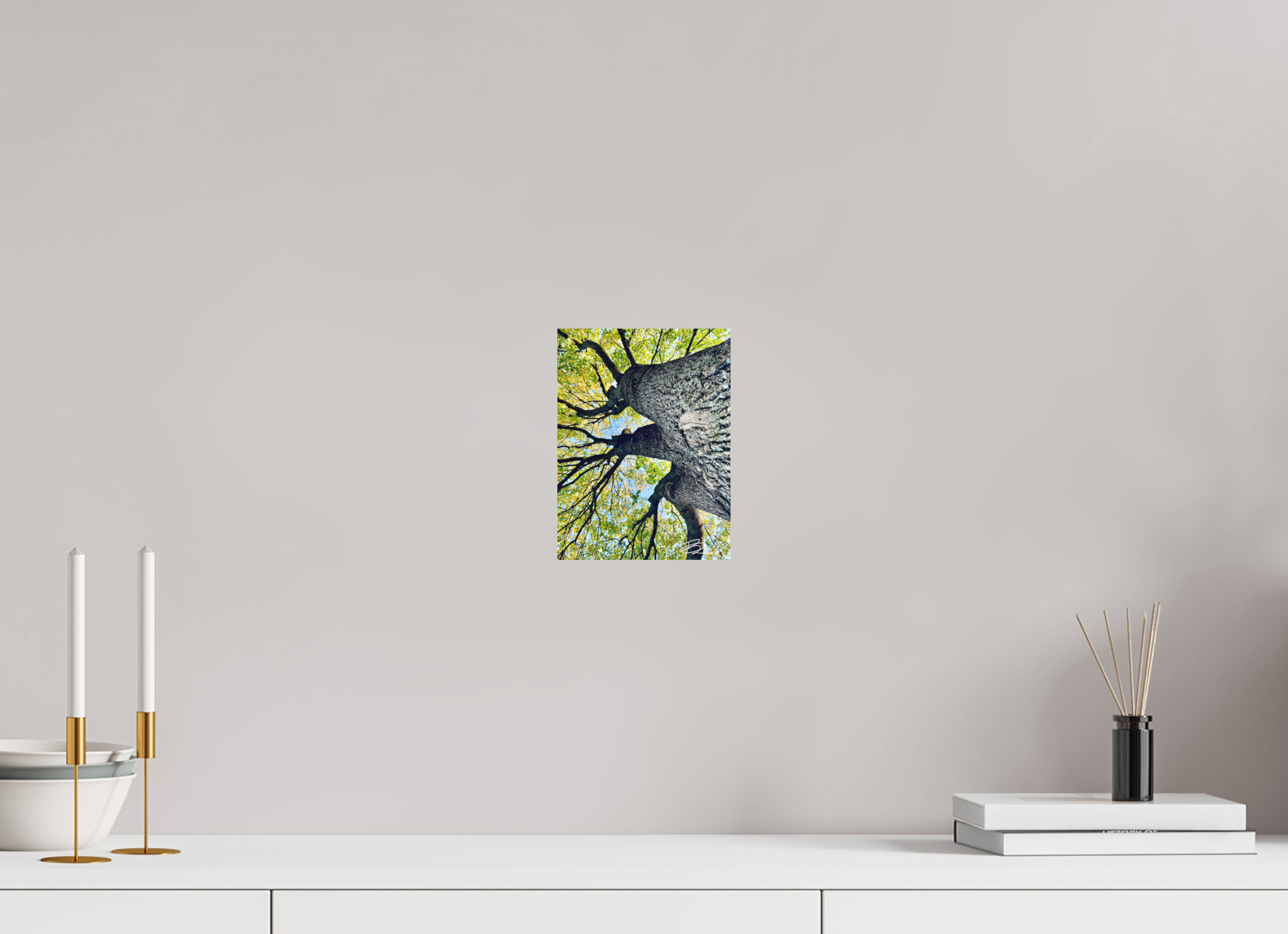 6 x 8″, 100% cotton print Growth