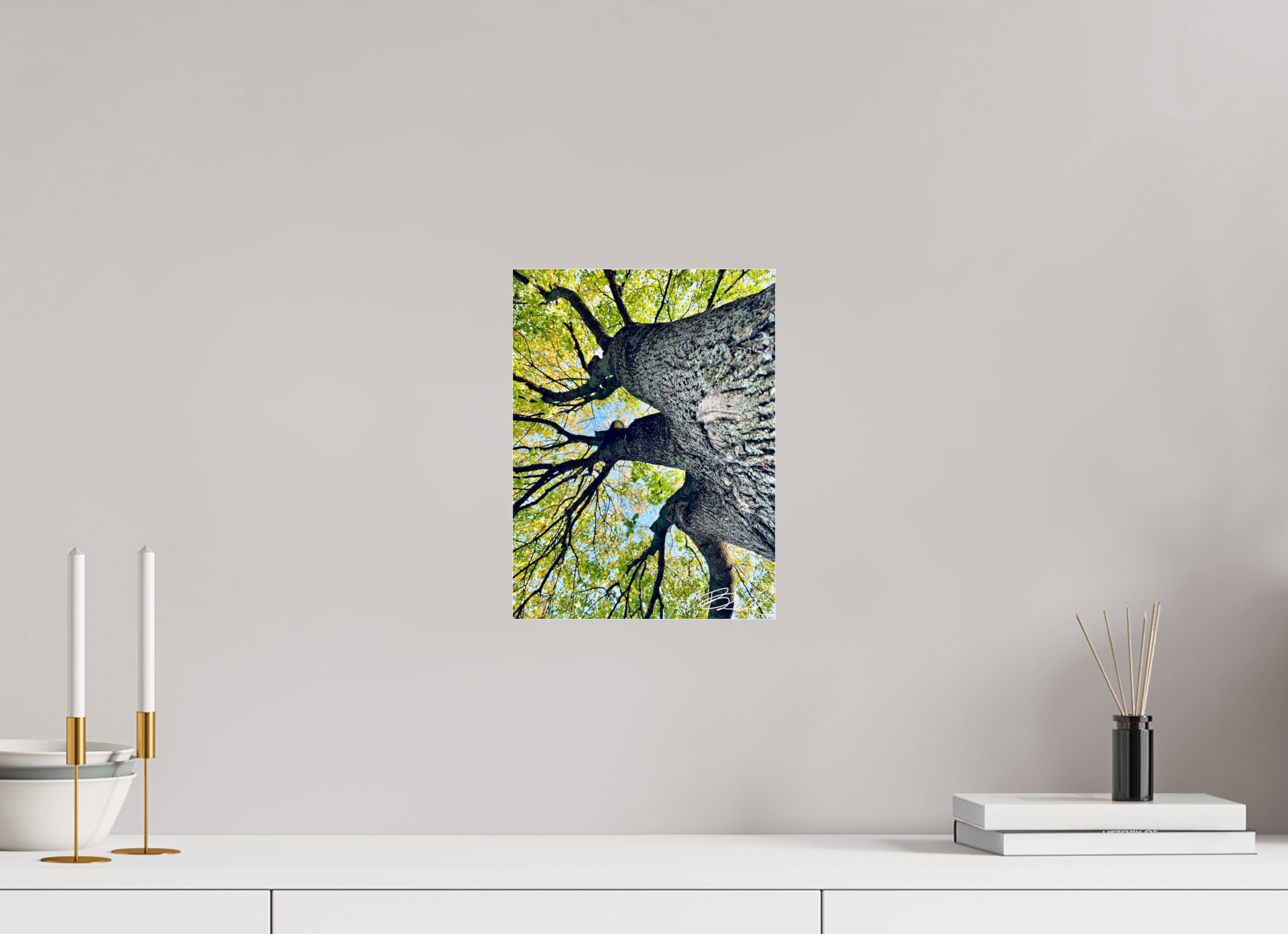 9 x 12″, Photo Print Under Acrylic Glass Growth