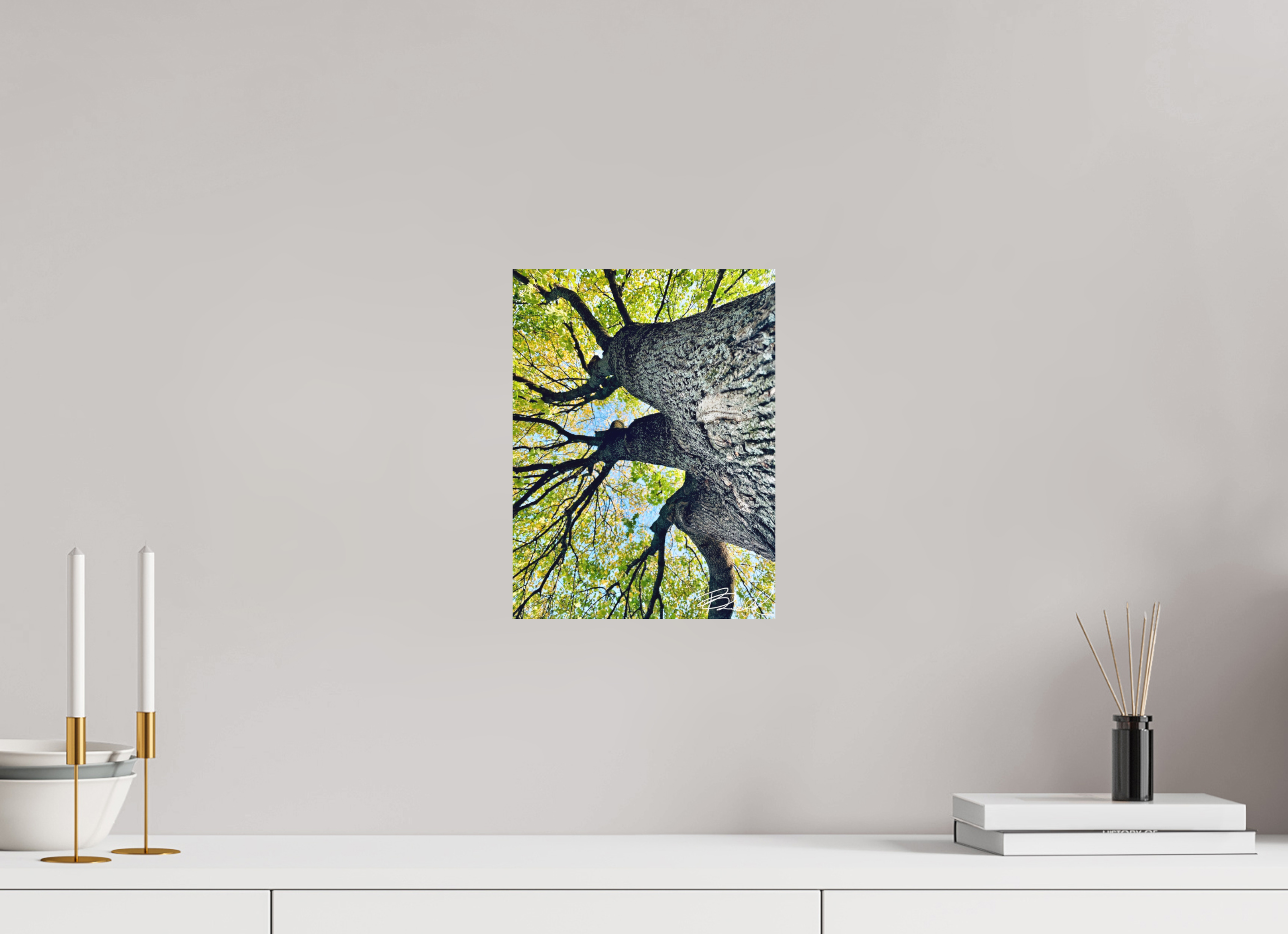 9 x 12″, 100% cotton print Growth