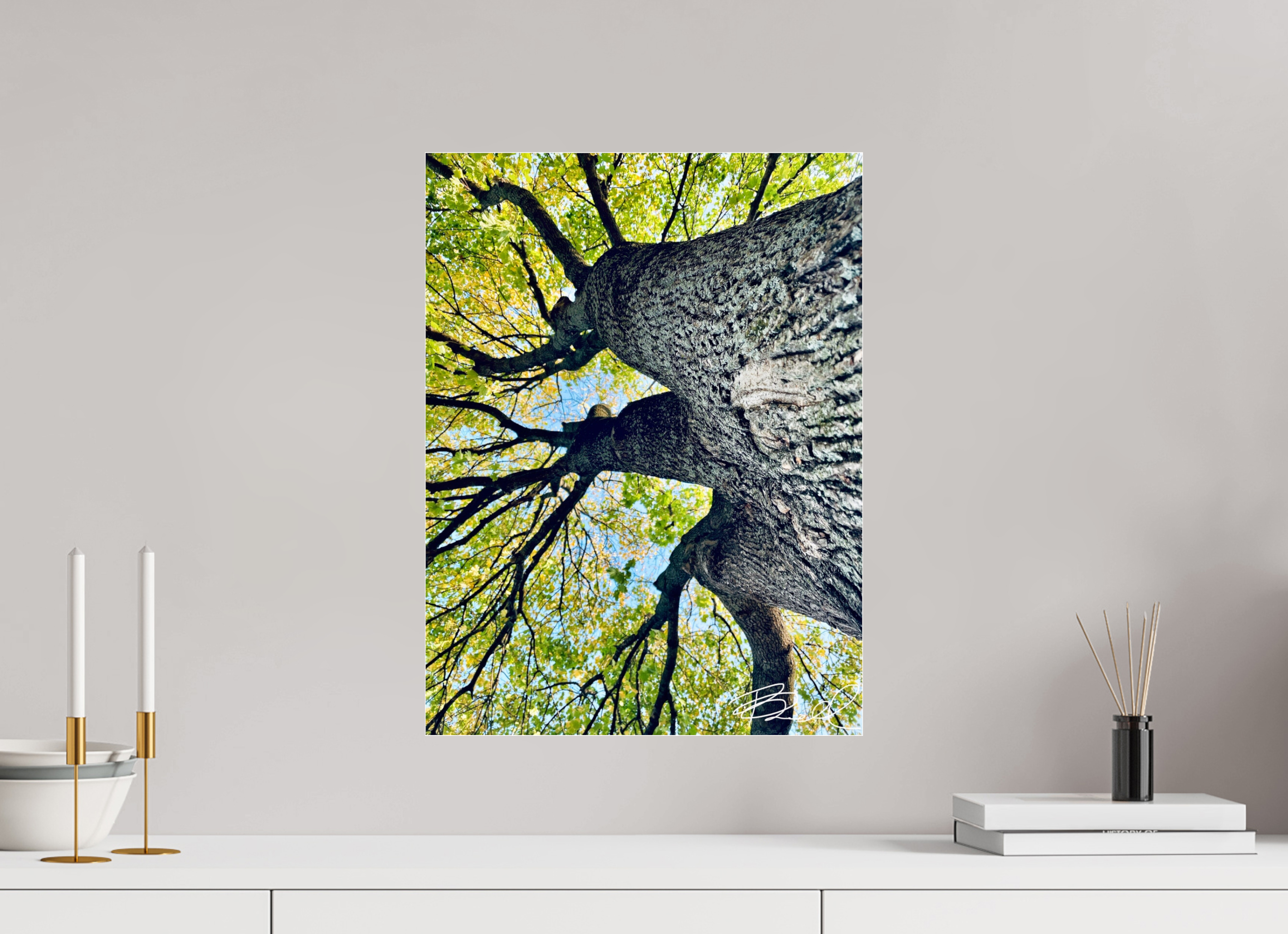 15 x 20″, Photo Print Under Acrylic Glass Growth