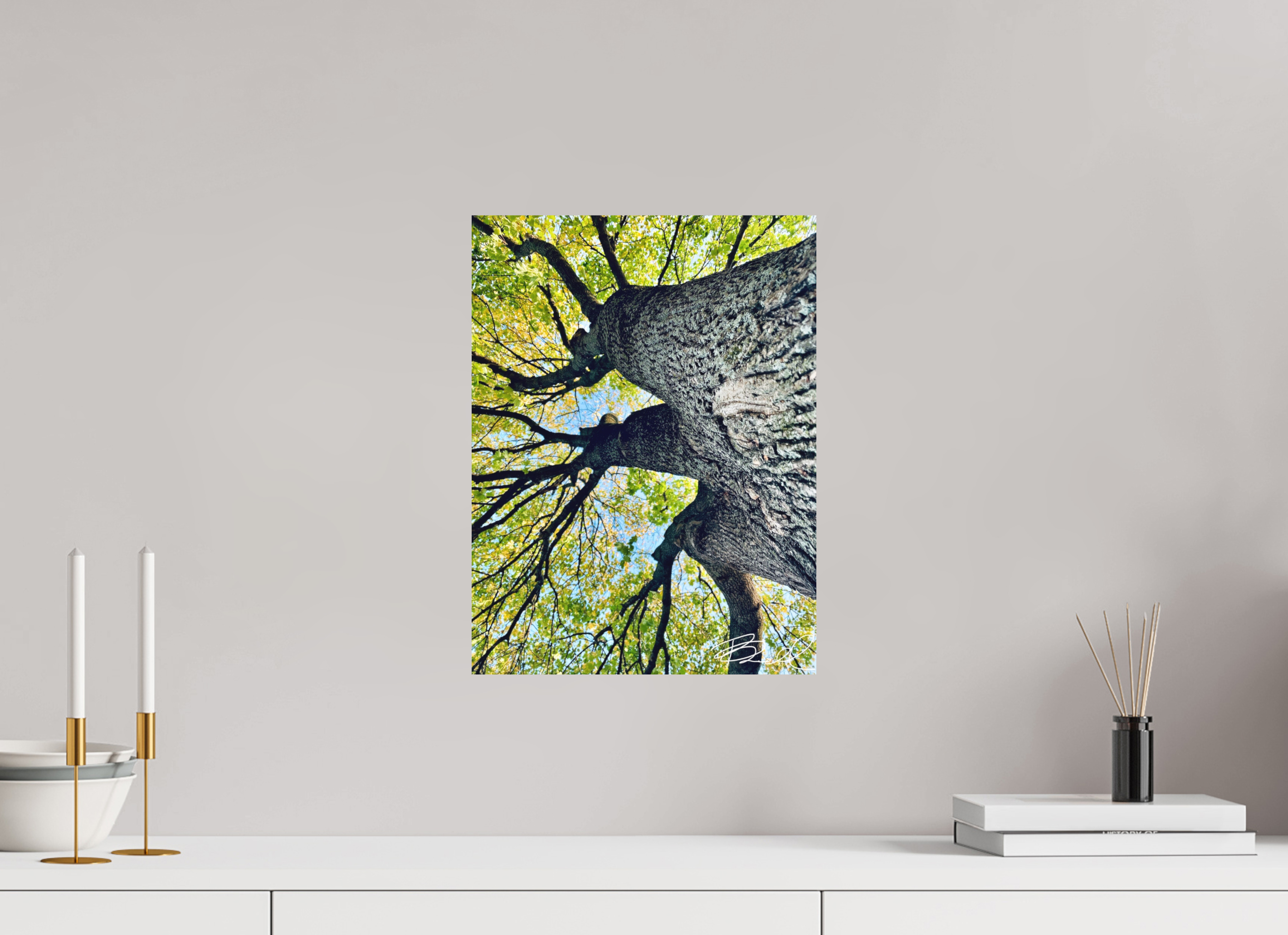 12 x 16″, Basic Growth