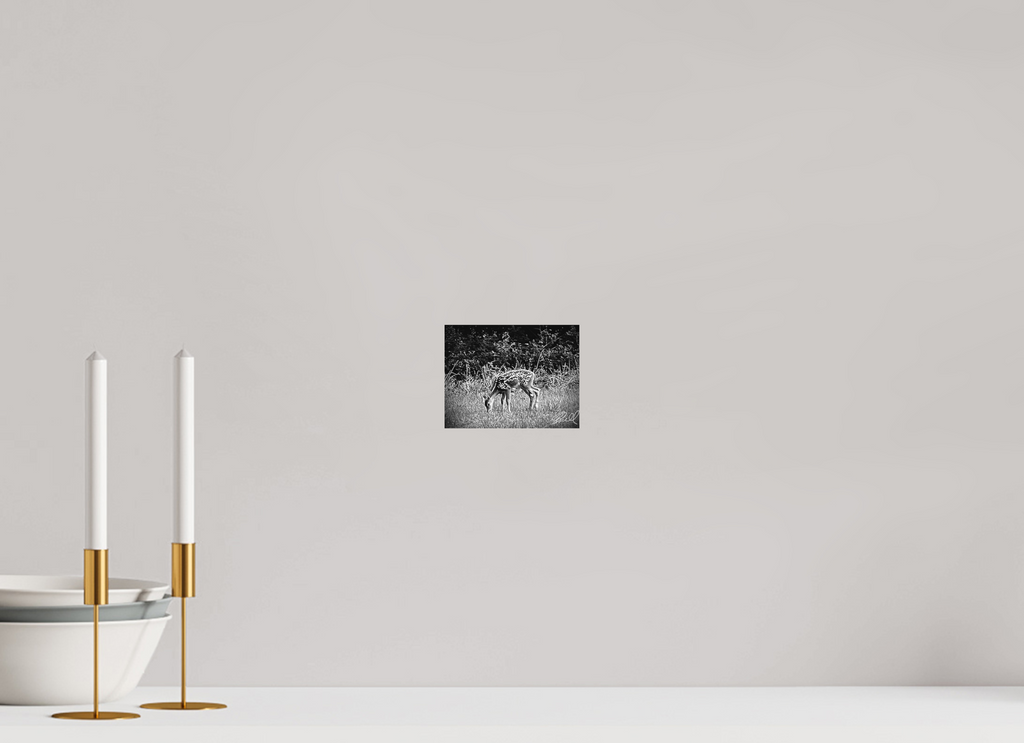 5.2 x 4″, 100% cotton print The Beautiful Trust of Nature