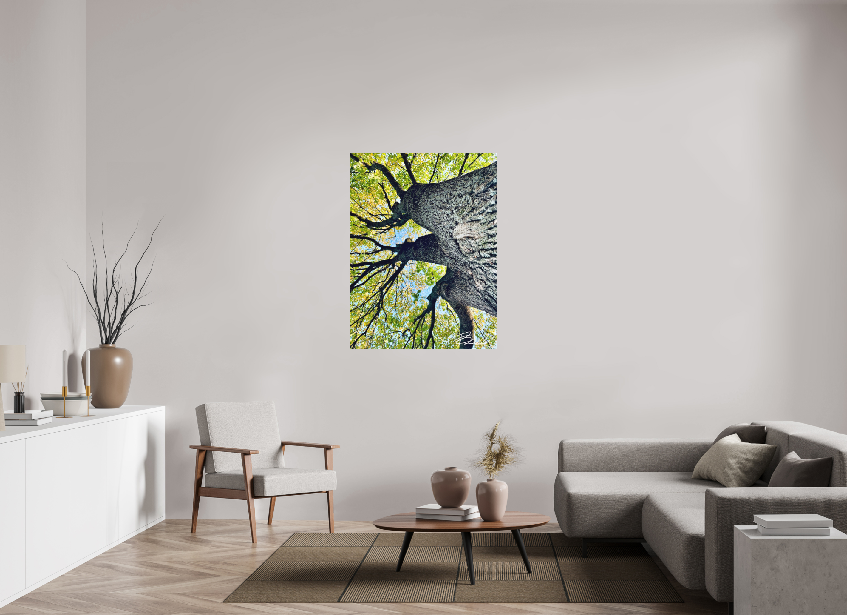 36 x 48″, Basic Growth