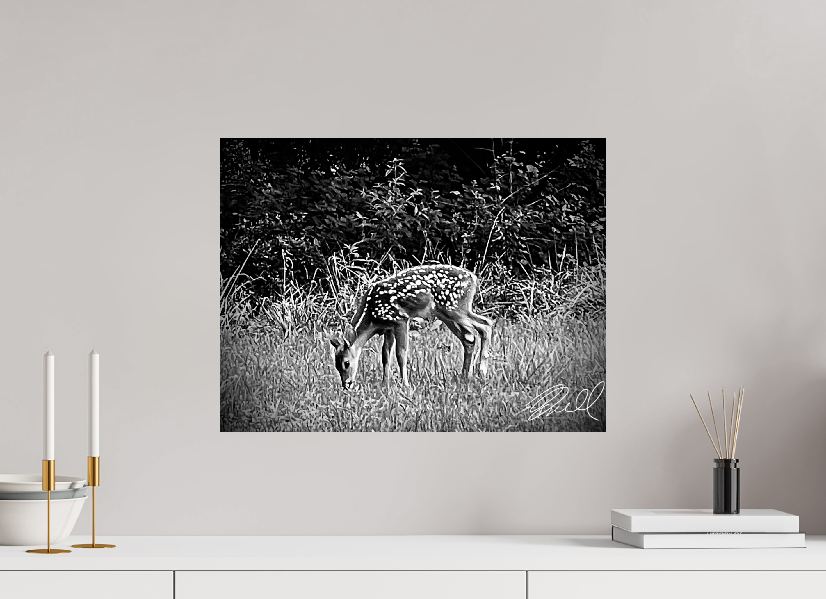 21 x 16″, High gloss The Beautiful Trust of Nature