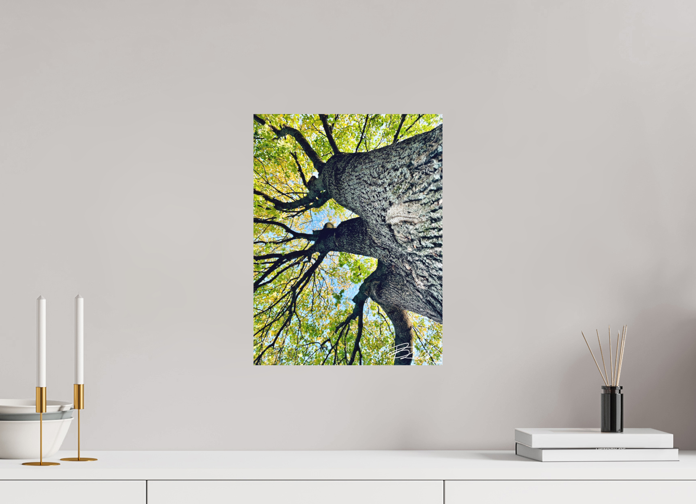 12 x 16″, 100% cotton print Growth