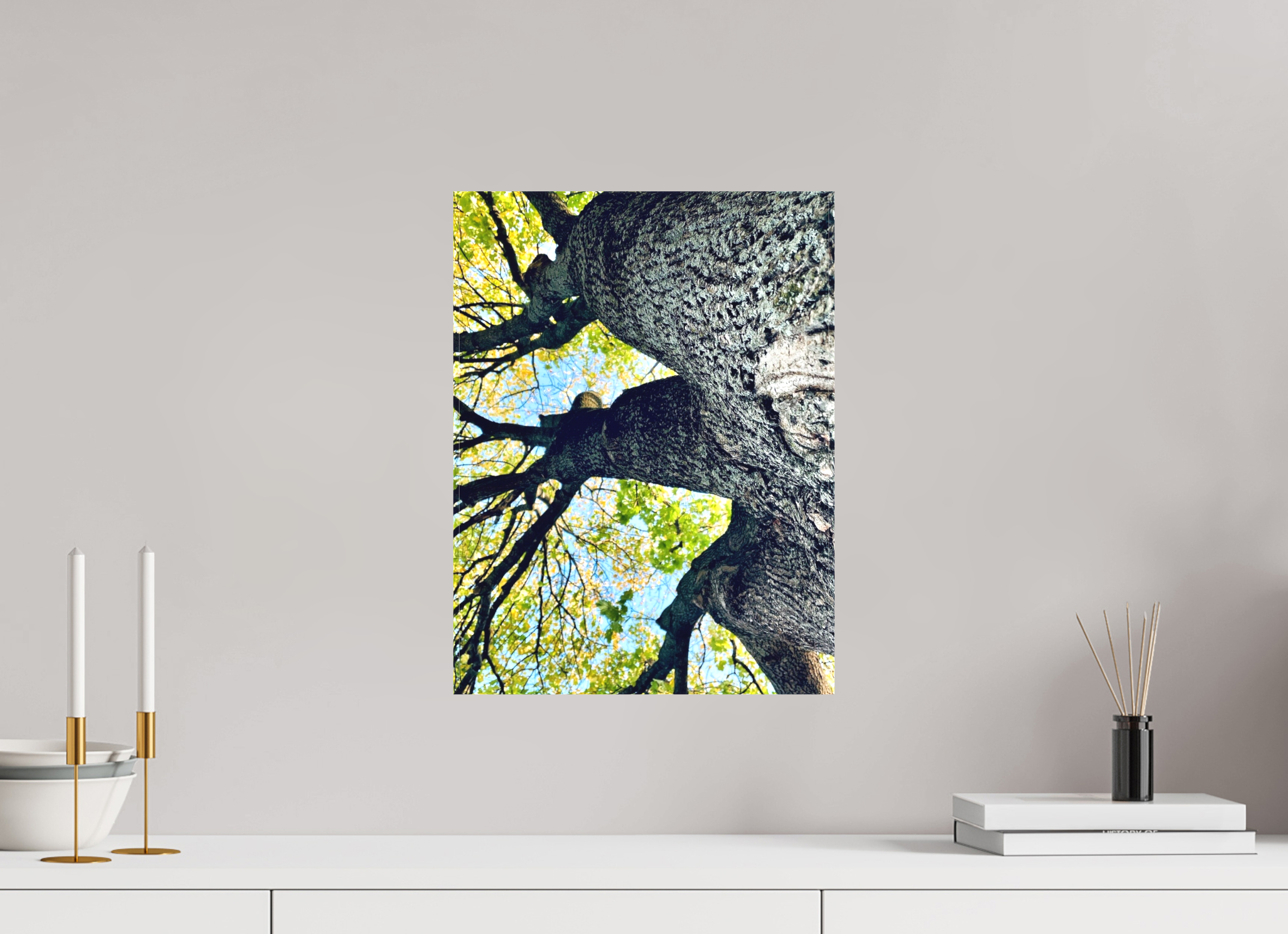 12 x 16″, Stretch it out Growth