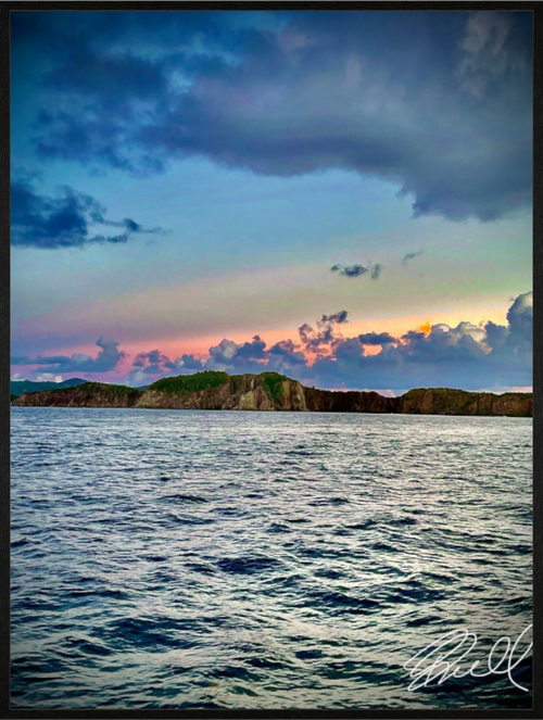 Main image Nature’s paintbrush