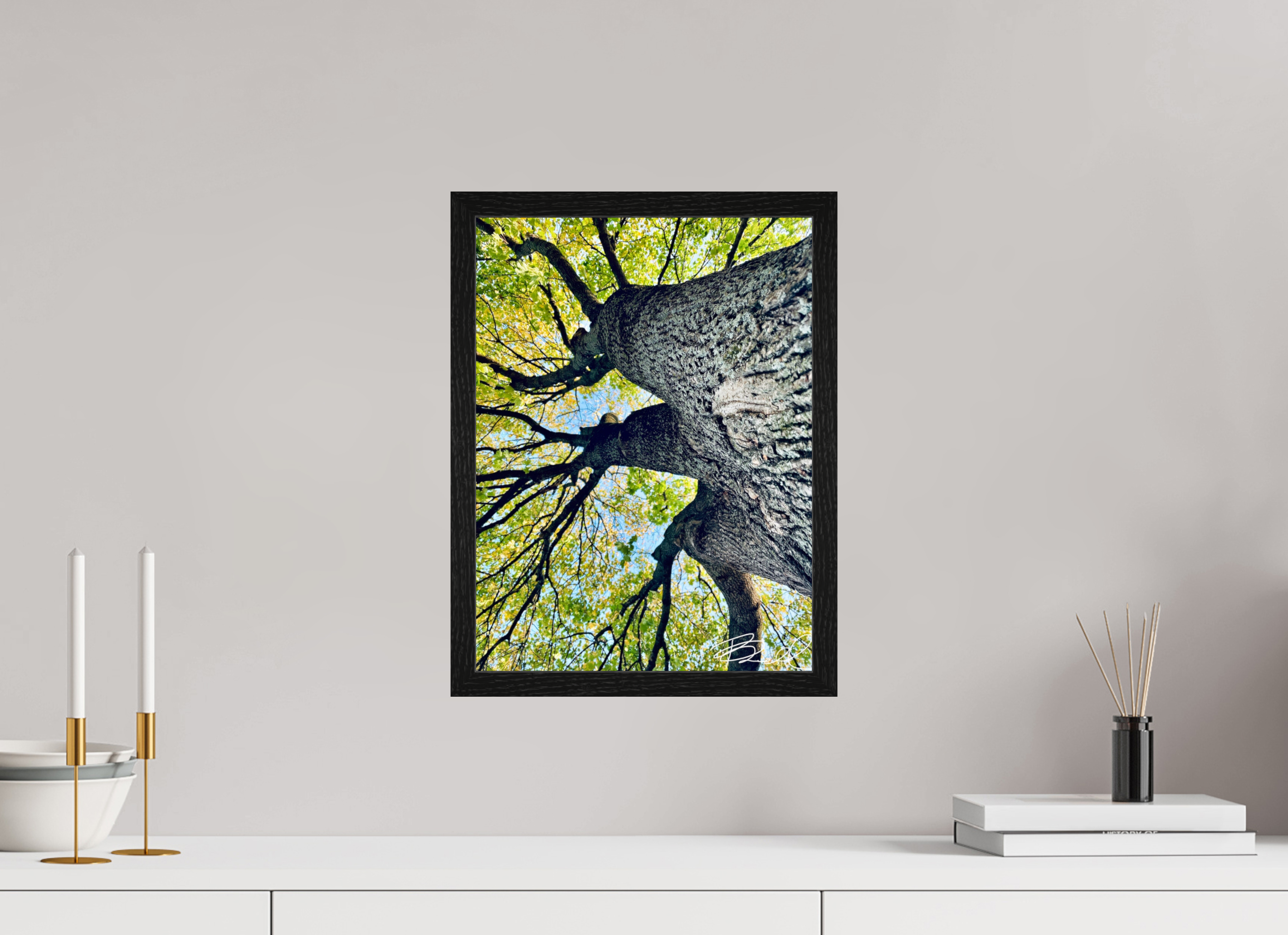 12 x 16″, Bring the Gallery to You Growth