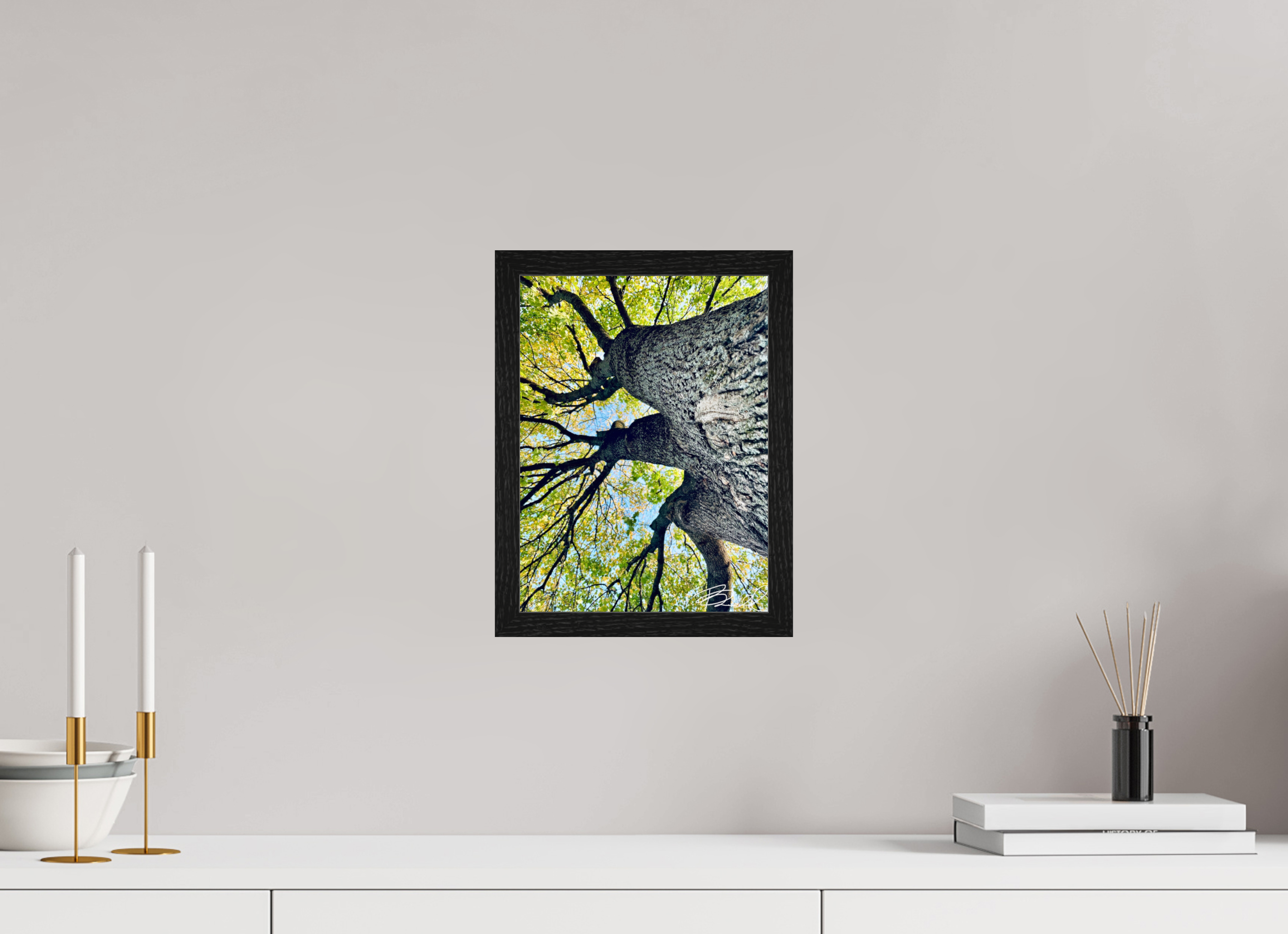 9 x 12″, Bring the Gallery to You Growth